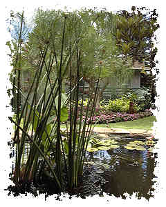 Pond & Cottage