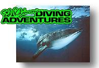 Ed Robinson's Diving Adventures - Maui