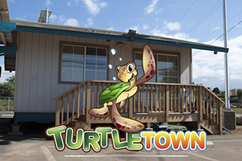 Turtle Town
