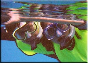 Snorkelers